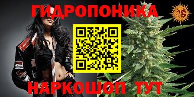гашик Жуковский
