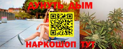 гашик Жуковский
