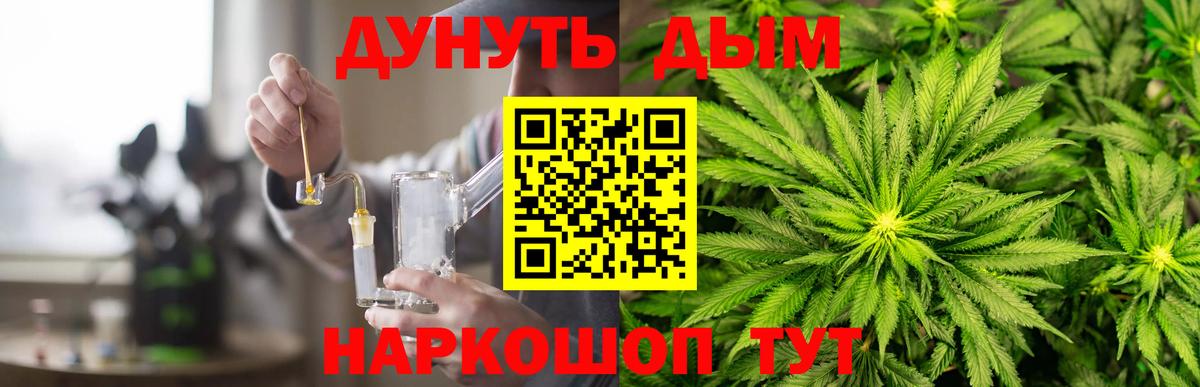 Канабис планчик Коркино